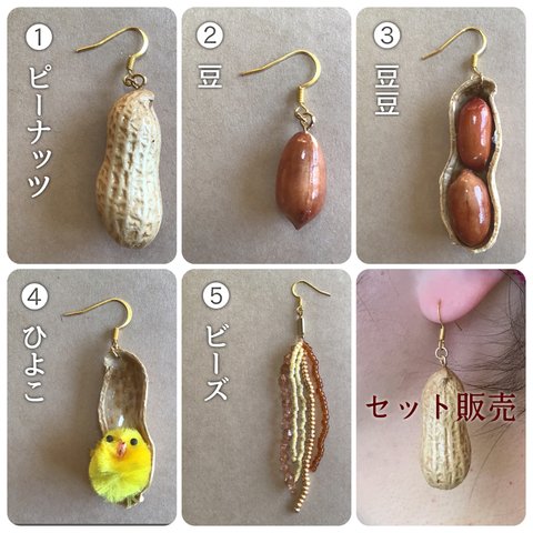 受注生産🥜本物ピーナッツピアス【セット販売】