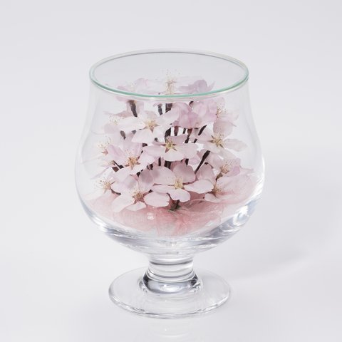 桜の花のボトルフラワー（グラスS）