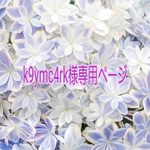 k9ymc4rk様専用ページ　～リボンリング💍～