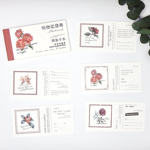 海外素材紙　植物とフレーム　red　50枚