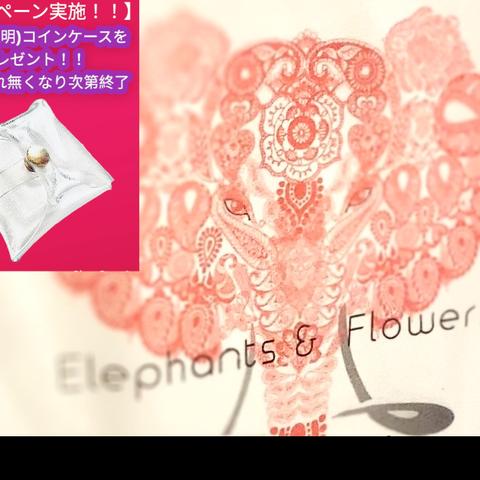 半袖 5.6オンス:ヘビーウエイト Tシャツ 象＆花 elephants in flowers