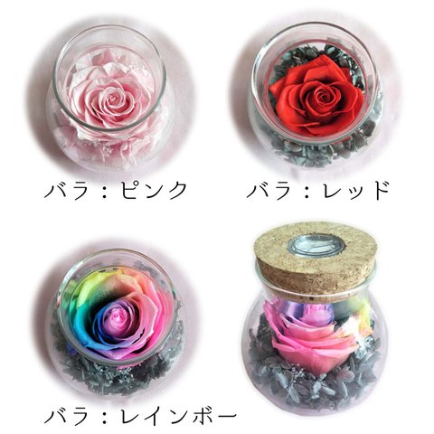  母の日　送料無料　プリザーブドフラワー　ガラスボトル入り　薔薇　レインボーローズknj-40rbw