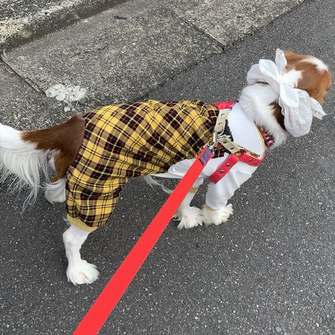  犬服オーバーオールロンパース　イエロータータンチェック　秋冬物新作💕