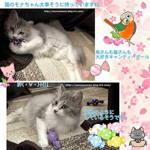 鳥さん猫さんのおもちゃキャンディーボール