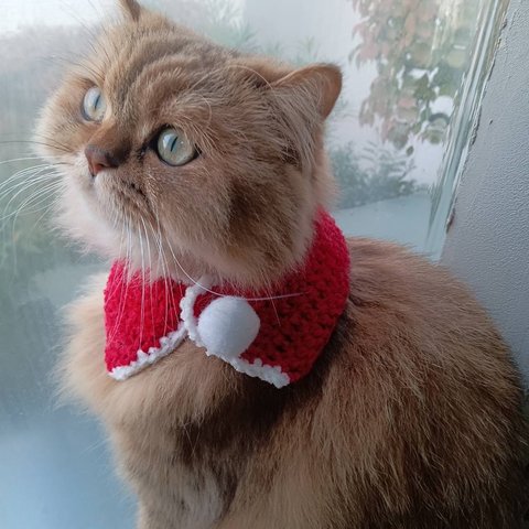 猫ちゃん・小型ワンちゃん用　クリスマスネックレス