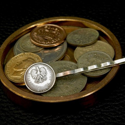 ＃PCB16　Poland Coin Hair Pin