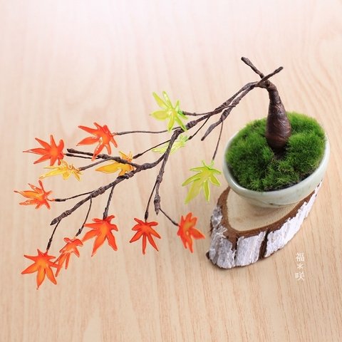 紅葉 盆栽 BONSAI 鉢植え 和 日本 置物 飾り 美濃焼 ミニ盆栽 ギフト ディップアート ミニチュア