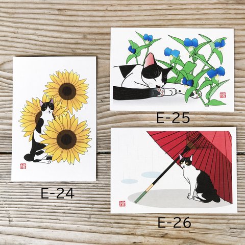 選べる猫のポストカード　3枚セット「E」