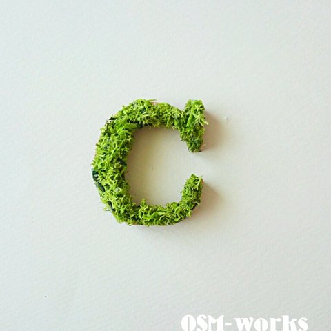木製 アルファベット オブジェ(モス)『Ｃ』×１点