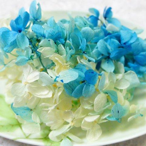 ピラミッド紫陽花　あじさい　アジサイ　プリザーブド　ブルーホワイト