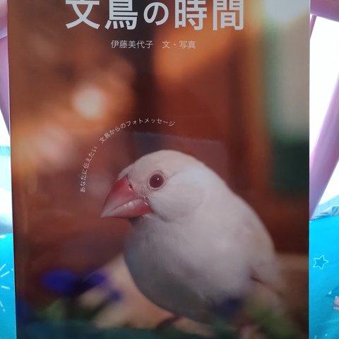 文鳥の時間　(A5判　P96  フルカラー)