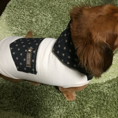 犬服!!キルト星柄☆ブラックポケット☆XS.S.M.DXS.DS.DM