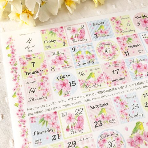 桜 2022年4月の日付シート（マスキングシール）