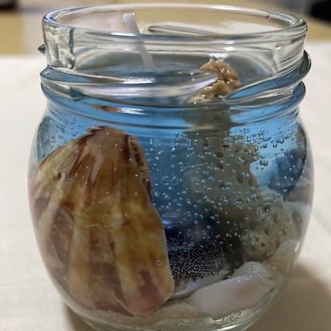 ジェルキャンドル　海　貝殻
