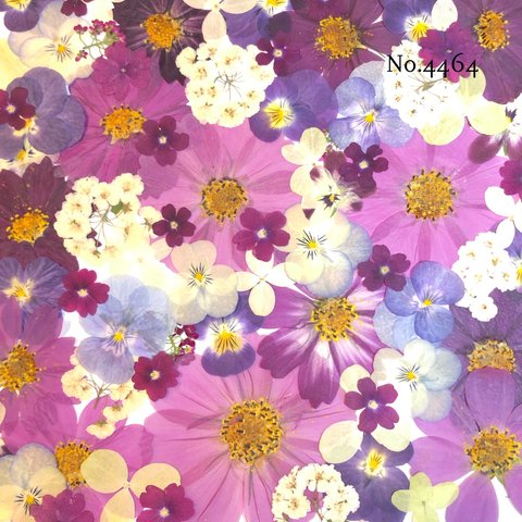 ♡new♡作家様必見♡押し花MIXセット♡押し花セット