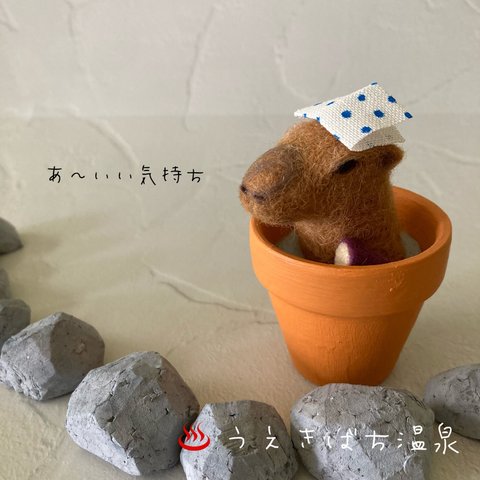 うえきばち温泉 (カピバラ) 