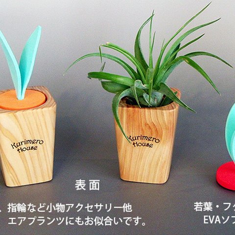 木工 指輪 ピアス 小物アクセサリー エアプランツ入れ