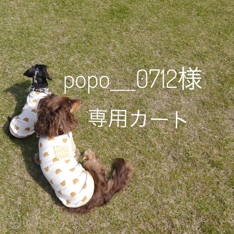 popo_0712様専用カート