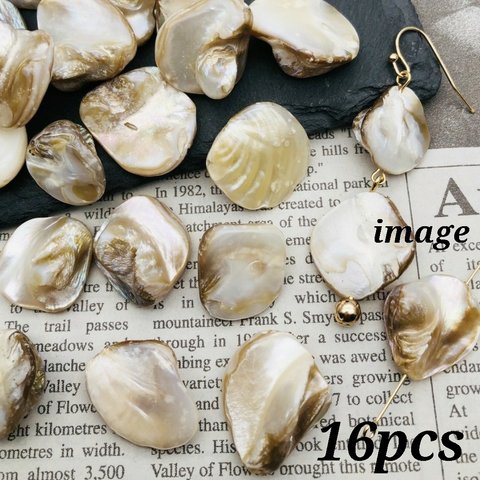 【woos4019brsr】【16pct】 natural shell chip beads　天然・シェル・チップ・ビーズ