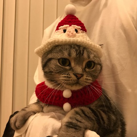 再販！猫用ケープ クリスマス