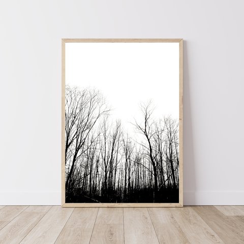 インテリアフォトポスター　モノクロームの冬の森　 自然の風景