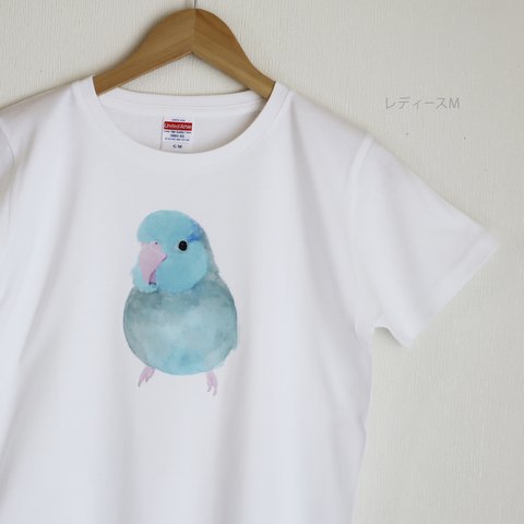 p-jet　マメルリハ ブルー  Tシャツ  /  鳥 インコ