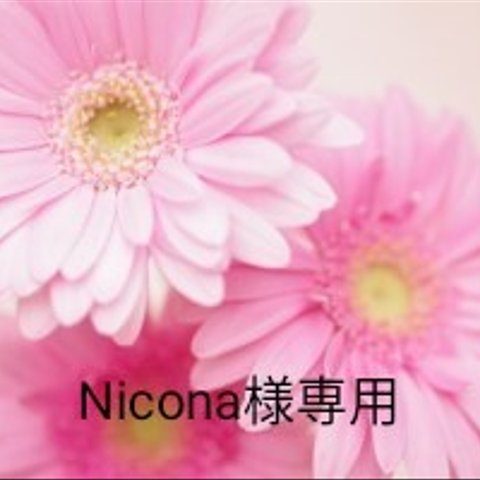 Nicona様専用