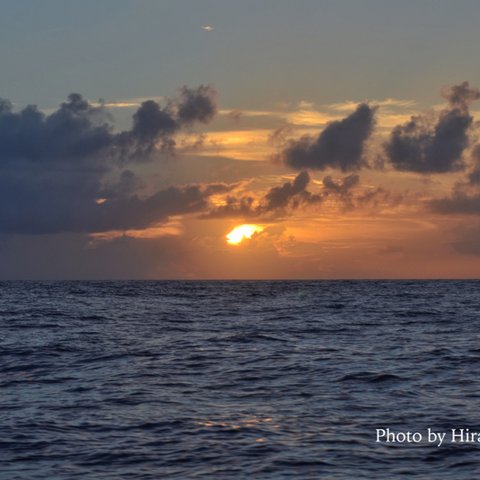 夕焼けの海で・・・