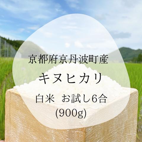 京都府京丹波町産 キヌヒカリ100% 令和5年度産 白米900g(6合)