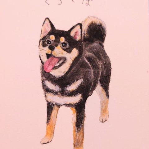 【完成品・手描き】黒柴犬の水彩画