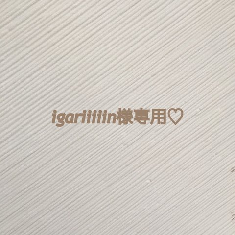 igariiiiin様専用♡お急ぎ12/6まで到着