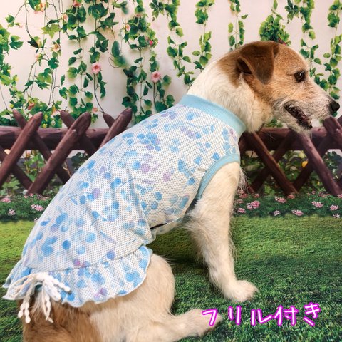 ウォータークール　フリルタンク　クール犬服