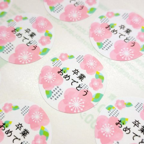 お祝いシール　卒業おめでとう　春色水彩桜
