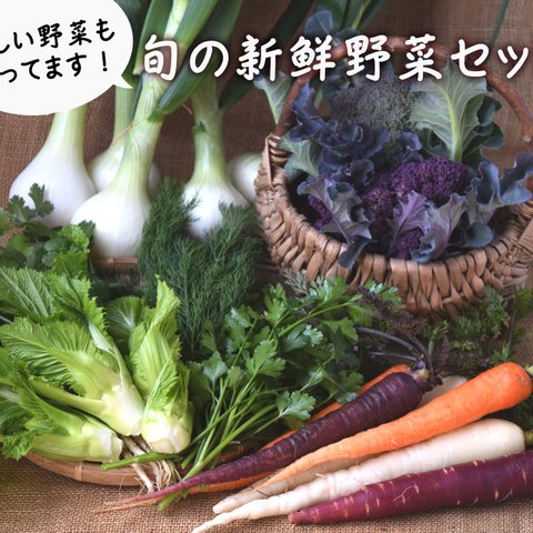 多品目栽培農家の、個性豊かな旬野菜つめあわせ6種セット