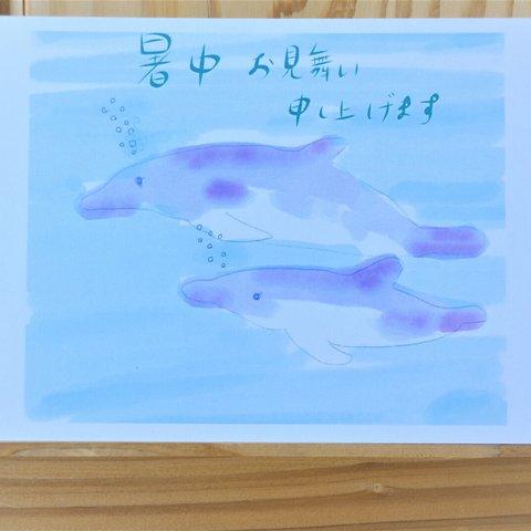 水彩タッチの暑中見舞いはがき3枚セット