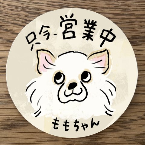 屋外使用OK★２枚セット★【チワワ（ホワイト）】世界の犬種のステッカー