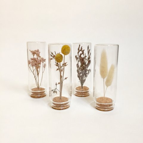 botanical specimens｜vol.1