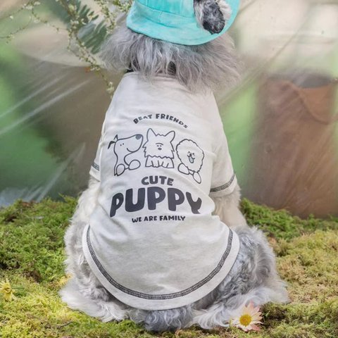 可愛いペット犬の服 夏の新作流行テディベア、ビションフリーゼ、スナウザー中小型犬猫服、薄手