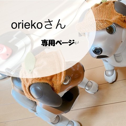 oriekoさん専用（花柄刺繍のスタイとパンツ）