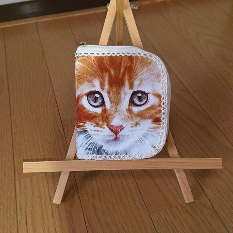 猫フェイス☆二つ折り財布*usaコットン*リアルな猫ちゃん