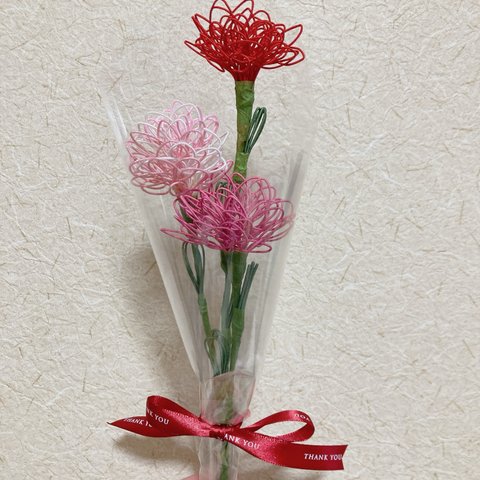 【carnation】　-カーネーション-