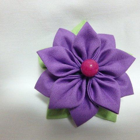 Purple Pentas 〜紫ペンタス〜