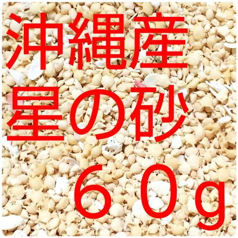 沖縄県産星の砂  ６０g ［星砂］送料無料