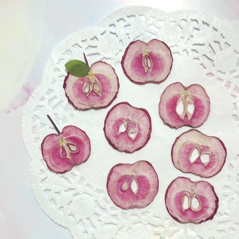 ミニりんご 果肉が赤い 姫りんご 押しフルーツ 10枚 秋 押し花素材  キャンドル ハーバリウム レジン