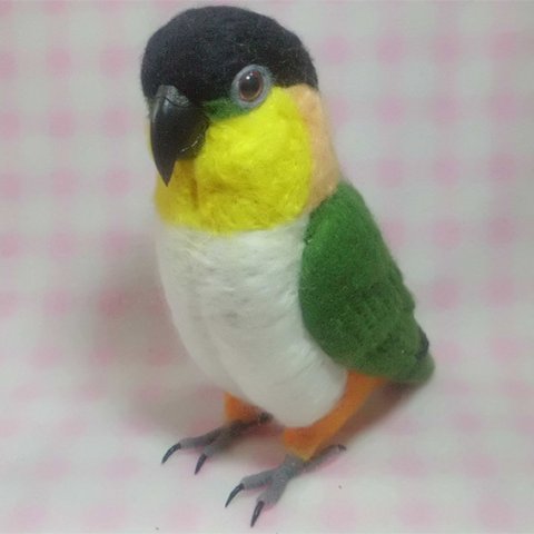 リアルサイズ♪ ズグロシロハラインコ  Black-headed Caique 黒頭鸚鵡 羊毛フィギュア 羊毛フェルト 鳥のオブジェ リアルバード 受注制作