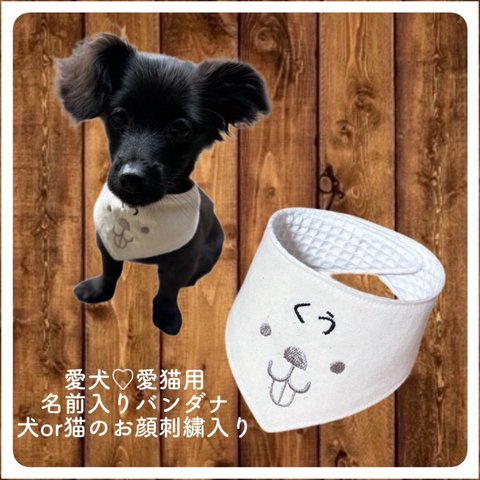 愛犬 愛猫  バンダナスタイ お名前入り 刺繍スタイ