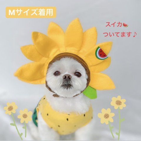 向日葵の被り物🌻わんちゃん・ねこちゃんにも＊