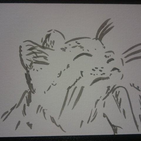 水墨画　絵葉書　猫