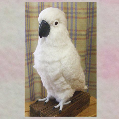 ライフサイズ♪ タイハクオウム Wool figure　life size ★Umbrella Cockatoo★ Stuffed wool 鳥のオブジェ リアルバードオブジェ 受注作成 羊毛インコ