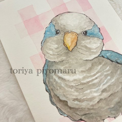 [原画]オキナさん🕊ポストカード